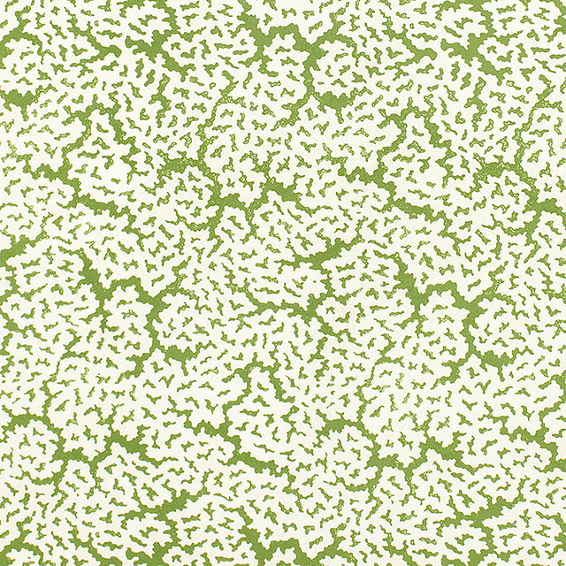 Maldives Green F942041 by Thibaut Fabric Thibaut Fabric Maldives Green F942041Fabric Sojourn Fabric Book 100% Cotton ITALY </p><p>Repeat: V: 21.75 53 - Fabric Carolina - Maldives Green F942041 by Thibaut Fabric Thibaut Fabric Maldives Green F942041Fabric Sojourn Fabric Book 100% Cotton ITALY </p><p>Repeat: V: 21.75 53 - Fabric Carolina -