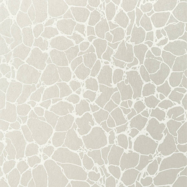 Amato Metallic Pewter T4017 by Thibaut Wallpaper Thibaut Wallpaper Amato Metallic Pewter T4017Wallpaper Surface Resource Non Woven Wallpaper U.S.A. </p><p>Repeat: V: 25.25 27 - Fabric Carolina - Amato Metallic Pewter T4017 by Thibaut Wallpaper Thibaut Wallpaper Amato Metallic Pewter T4017Wallpaper Surface Resource Non Woven Wallpaper U.S.A. </p><p>Repeat: V: 25.25 27 - Fabric Carolina -
