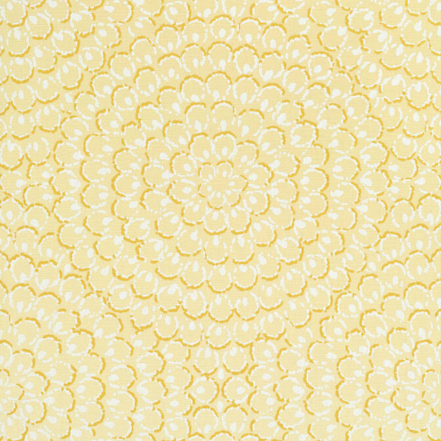 Aster Yellow T4032 by Thibaut Wallpaper Thibaut Wallpaper Aster Yellow T4032Wallpaper Surface Resource String Wallpaper U.S.A. </p><p>Repeat: V: 25.25 27 - Fabric Carolina - Aster Yellow T4032 by Thibaut Wallpaper Thibaut Wallpaper Aster Yellow T4032Wallpaper Surface Resource String Wallpaper U.S.A. </p><p>Repeat: V: 25.25 27 - Fabric Carolina -