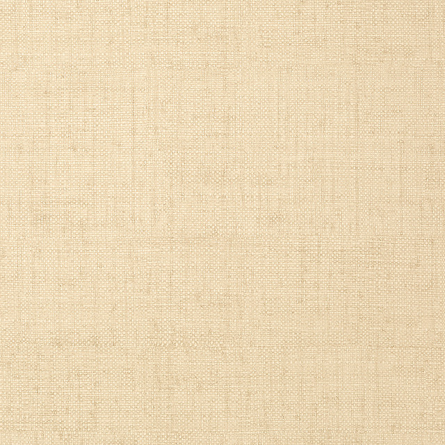Bankun Raffia Cream T6814 by Thibaut Wallpaper Thibaut Wallpaper Bankun Raffia Cream T6814Wallpaper Texture Resource 3 Embossed Vinyl Woven Wallpaper U.S.A. </p><p>Repeat: V: - 26 - Fabric Carolina -