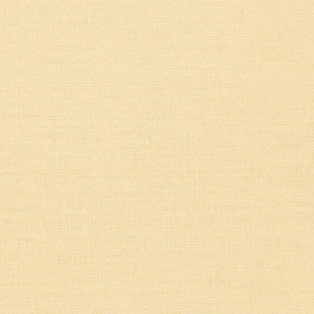 Coastal Sisal Cream T14107 by Thibaut Wallpaper Thibaut Wallpaper Coastal Sisal Cream T14107Wallpaper Texture Resource 4 Embossed Vinyl Woven Wallpaper U.S.A. </p><p>Repeat: V: - 27 - Fabric Carolina - Coastal Sisal Cream T14107 by Thibaut Wallpaper Thibaut Wallpaper Coastal Sisal Cream T14107Wallpaper Texture Resource 4 Embossed Vinyl Woven Wallpaper U.S.A. </p><p>Repeat: V: - 27 - Fabric Carolina -