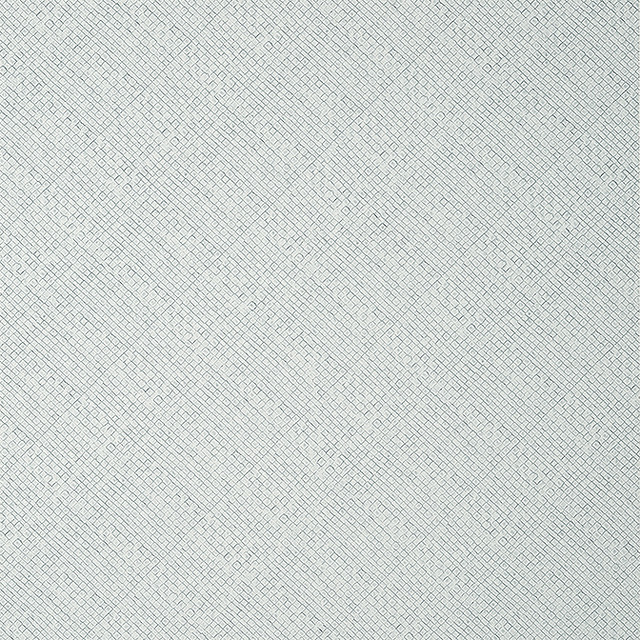 Jackson Weave Glacier T14505 by Thibaut Wallpaper Thibaut Wallpaper Jackson Weave Glacier T14505Wallpaper Texture Resource 8 Non-Woven Vinyl Wallpaper UNITED STATES </p><p>Repeat: V: 0 26 - Fabric Carolina -