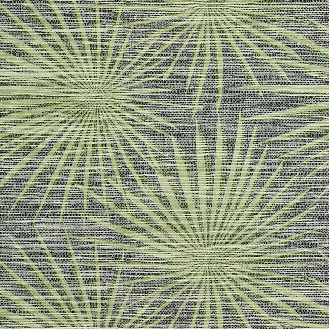 Palm Frond Black and Green T10143 by Thibaut Wallpaper Thibaut Wallpaper Palm Frond Black and Green T10143Wallpaper Tropics Non-Woven Vinyl Wallpaper U.S.A. </p><p>Repeat: V: 20.5 27 - Fabric Carolina - Palm Frond Black and Green T10143 by Thibaut Wallpaper Thibaut Wallpaper Palm Frond Black and Green T10143Wallpaper Tropics Non-Woven Vinyl Wallpaper U.S.A. </p><p>Repeat: V: 20.5 27 - Fabric Carolina -