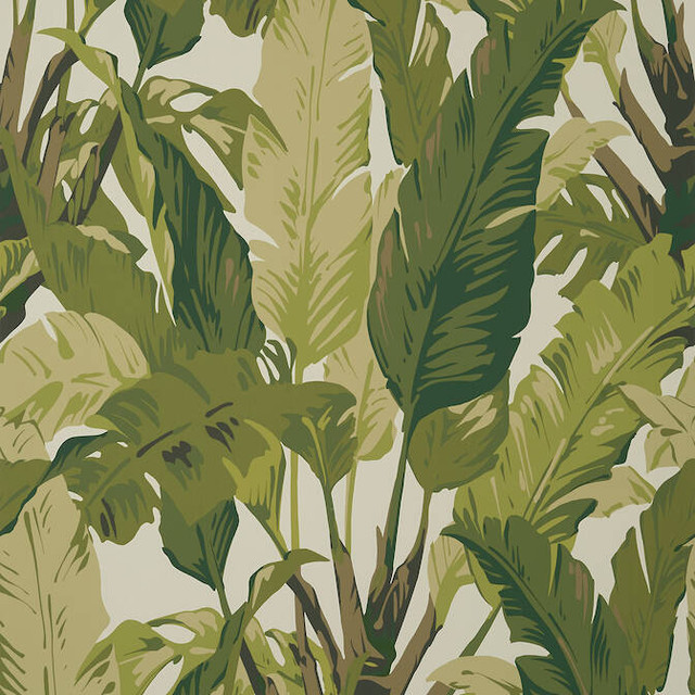Travelers Palm Sage T10131 by Thibaut Wallpaper Thibaut Wallpaper Travelers Palm Sage T10131Wallpaper Tropics Non Woven Wallpaper UNITED KINGDOM </p><p>Repeat: V: 40 27 - Fabric Carolina - Travelers Palm Sage T10131 by Thibaut Wallpaper Thibaut Wallpaper Travelers Palm Sage T10131Wallpaper Tropics Non Woven Wallpaper UNITED KINGDOM </p><p>Repeat: V: 40 27 - Fabric Carolina -