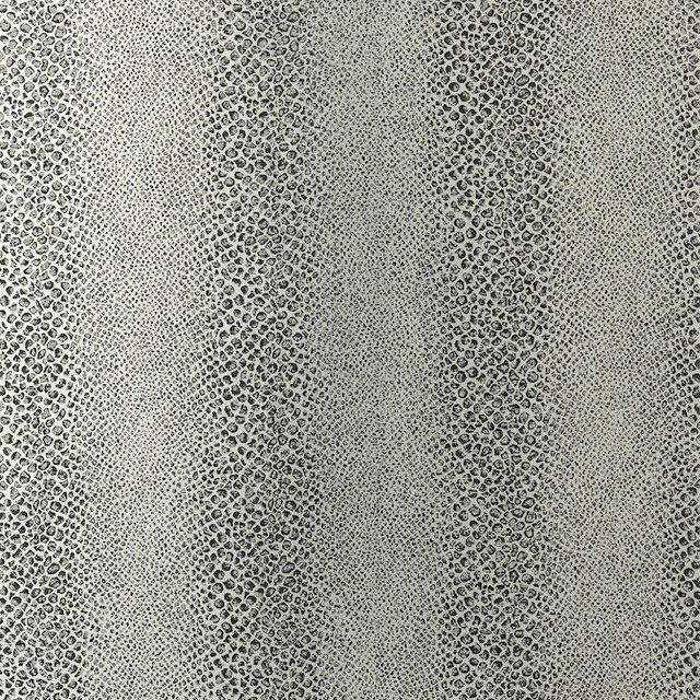 Mamba Black on Mylar AT7922 by Anna French Wallpaper Anna French Wallpaper Mamba Black on Mylar AT7922Wallpaper Watermark Non Woven Mylar Wallpaper UNITED KINGDOM </p><p>Repeat: V: 28 20.5 - Fabric Carolina - Mamba Black on Mylar AT7922 by Anna French Wallpaper Anna French Wallpaper Mamba Black on Mylar AT7922Wallpaper Watermark Non Woven Mylar Wallpaper UNITED KINGDOM </p><p>Repeat: V: 28 20.5 - Fabric Carolina -