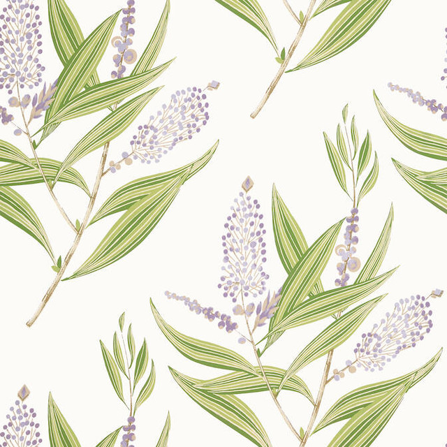 Winter Bud Lavender AT23134 by Anna French Wallpaper Anna French Wallpaper Winter Bud Lavender AT23134Wallpaper Willow Tree Wallpaper UNITED STATES </p><p>Repeat: V: 25.25 27 - Fabric Carolina - Winter Bud Lavender AT23134 by Anna French Wallpaper Anna French Wallpaper Winter Bud Lavender AT23134Wallpaper Willow Tree Wallpaper UNITED STATES </p><p>Repeat: V: 25.25 27 - Fabric Carolina -