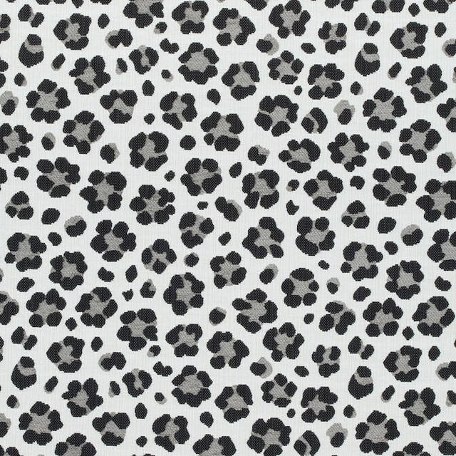 Trixie Black and Grey W80420 by Thibaut Fabric Thibaut Fabric Trixie Black and Grey W80420Fabric Woven Res. 10: Menagerie 78% Cotton, 22% Rayon-acr back U.S.A. </p><p>Repeat: V: 14 54 - Fabric Carolina - Trixie Black and Grey W80420 by Thibaut Fabric Thibaut Fabric Trixie Black and Grey W80420Fabric Woven Res. 10: Menagerie 78% Cotton, 22% Rayon-acr back U.S.A. </p><p>Repeat: V: 14 54 - Fabric Carolina -