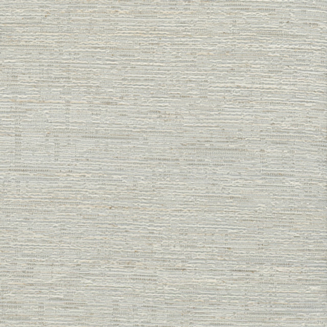 Greater Good Platinum by Carole Designer Fabric Alliance 76% Polyester, 14% Cotton, 5% Rayon, 5% Linen India 30,000 Wyzenbeek Double Rubs None 55 1/2"" - Swanky Fabrics -