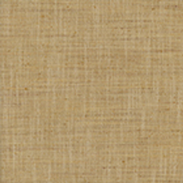 There For You Amber by Carole Designer Fabric Alliance 100% Polyester India None 55"" - Swanky Fabrics -