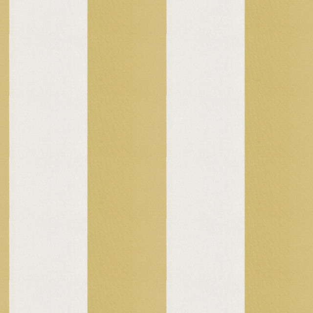 CIRQUE 15J9351 by JF Designer Fabric CIRQUE 59% , 41% Polyester India Horizontal: 4 and Vertical: 56 - Swanky Fabrics - CIRQUE 15J9351 by JF Designer Fabric CIRQUE 59% , 41% Polyester India Horizontal: 4 and Vertical: 56 - Swanky Fabrics -