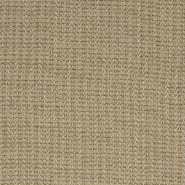 D4169 Fern by Charlotte Fabric Crypton Colors II 93% Polyester, 7% Linen Finished in USA Exceeds 200,000 Wyzenbeek Rubs (Heavy Duty) No Repeat 54 Inches - Fabric Carolina -