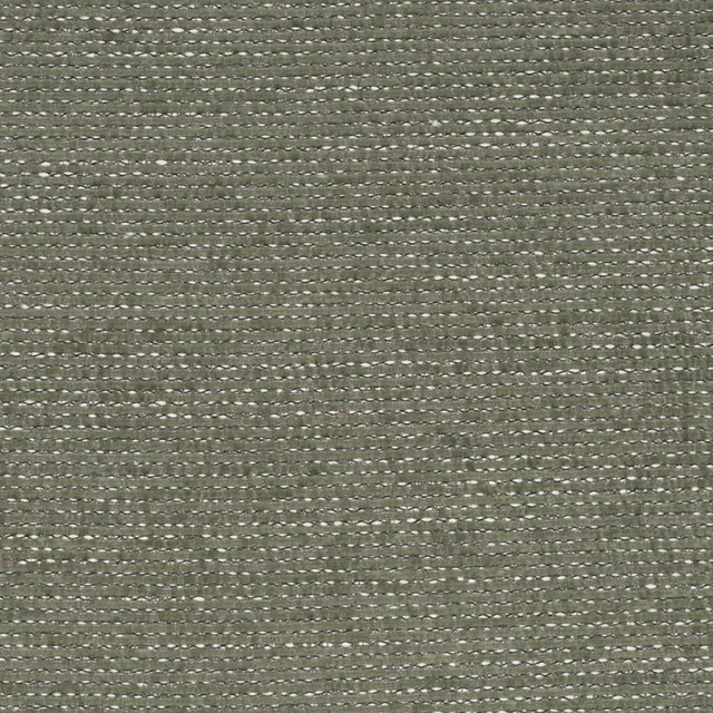 D4216 Green by Charlotte Fabric Crypton Colors II 100% Polyester Finished in USA Exceeds 120,000 Wyzenbeek Rubs (Heavy Duty) No Repeat 54 Inches - Fabric Carolina -
