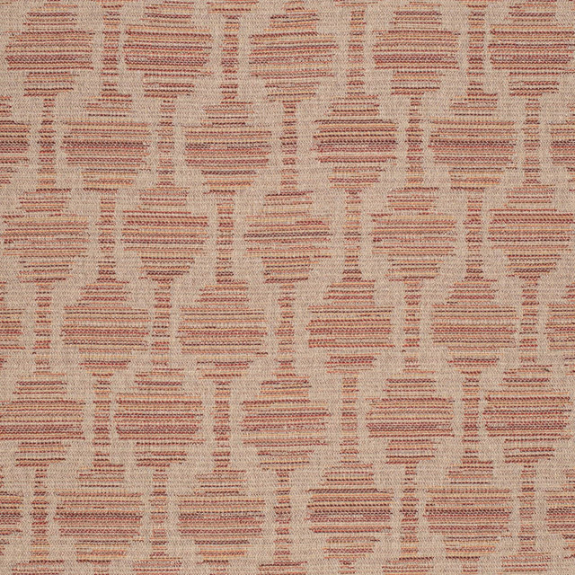 F300-248 by Charlotte Fabric Terracotta 70% Cotton, 30% Polyester USA Exceeds 100,000 Wyzenbeek Rubs (Heavy Duty) Horizontal 5" x Vertical 7" 54 Inches - Fabric Carolina -