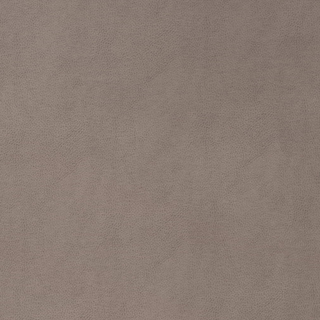V864 Slate by Charlotte Fabric Leather Looks 69% Polyurethane, 28% Polyester, 3% Cotton Asia Exceeds 100,000 Wyzenbeek Rubs (Heavy Duty) No Repeat 54 Inches - Fabric Carolina -