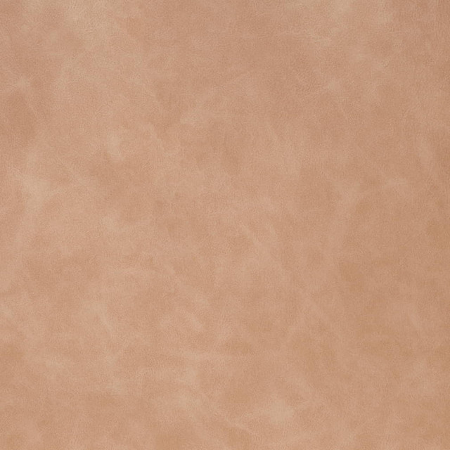V906 Dune by Charlotte Fabric Leather Looks 100% Polyurethane Asia Exceeds 100,000 Wyzenbeek Rubs (Heavy Duty) No Repeat 54 Inches - Fabric Carolina -