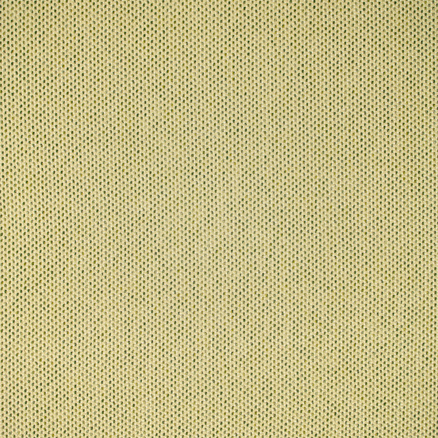 F5464 Grass by Greenhouse Designer Fabric 98.58% Olefin, 1.42% Polyester USA 51,000 </p><p>Repeat: .188" H, .188" V 54" - Swanky Fabrics - F5464 Grass by Greenhouse Designer Fabric 98.58% Olefin, 1.42% Polyester USA 51,000 </p><p>Repeat: .188" H, .188" V 54" - Swanky Fabrics -