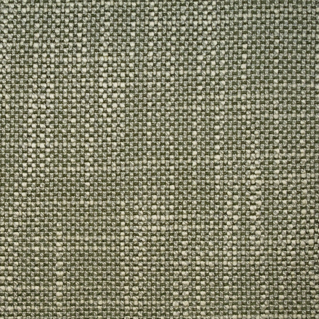 F5227 Sage by Greenhouse Designer Fabric 100% Polyester China 50,000 </p><p>Repeat: None 57" - Swanky Fabrics - F5227 Sage by Greenhouse Designer Fabric 100% Polyester China 50,000 </p><p>Repeat: None 57" - Swanky Fabrics -