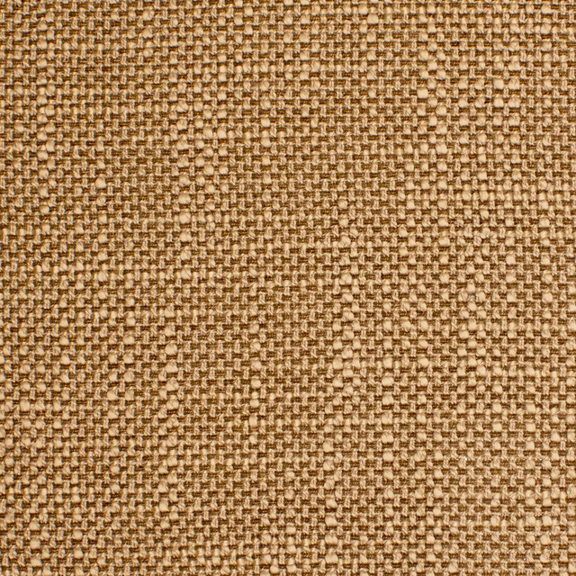 F5197 Camel by Greenhouse Designer Fabric 100% Polyester China 50,000 </p><p>Repeat: None 57" - Swanky Fabrics - F5197 Camel by Greenhouse Designer Fabric 100% Polyester China 50,000 </p><p>Repeat: None 57" - Swanky Fabrics -