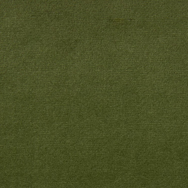 F5335 Dill by Greenhouse Designer Fabric 100% Polyester China 100,000 </p><p>Repeat: None 54" - Swanky Fabrics - F5335 Dill by Greenhouse Designer Fabric 100% Polyester China 100,000 </p><p>Repeat: None 54" - Swanky Fabrics -