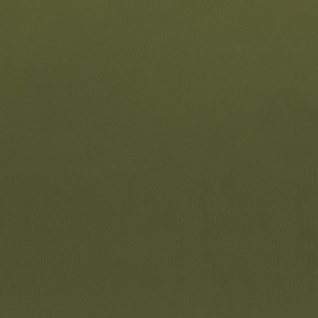 F5077 Fern by Greenhouse Designer Fabric 100% Vinyl, Backing: 100% Polyester China 1,500,000 </p><p>Repeat: None 54" - Swanky Fabrics - F5077 Fern by Greenhouse Designer Fabric 100% Vinyl, Backing: 100% Polyester China 1,500,000 </p><p>Repeat: None 54" - Swanky Fabrics -