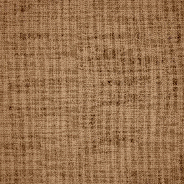S5918 Cashew by Greenhouse Designer Fabric 100% Recycled Polyester India 50,000 </p><p>Repeat: None 54" - Swanky Fabrics - S5918 Cashew by Greenhouse Designer Fabric 100% Recycled Polyester India 50,000 </p><p>Repeat: None 54" - Swanky Fabrics -