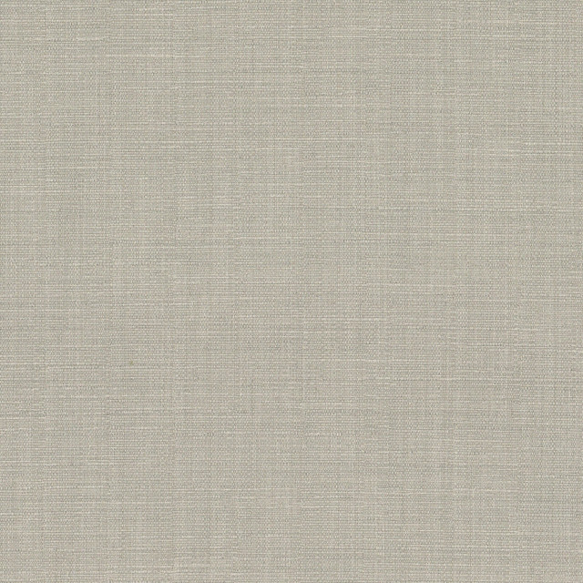 Vanessa 4 Chrome by Stout Fabric Stout Fabric Vanessa 4 ChromeFabric COLOR MY WINDOW PEWTER/TAUPE 100%POL INDIA </p><p>Repeat: H: 0.000, V: 0.000 54 in - Fabric Carolina -