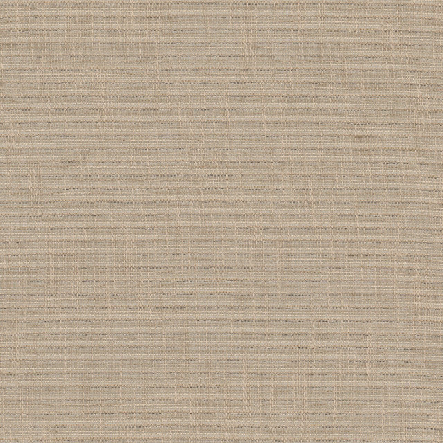 Ralphie 1 Driftwood by Stout Fabric Stout Fabric Ralphie 1 DriftwoodFabric COLOR MY WINDOW PEWTER/TAUPE 100%POL TURKEY </p><p>Repeat: H: 0.000, V: 0.000 54 in - Fabric Carolina -