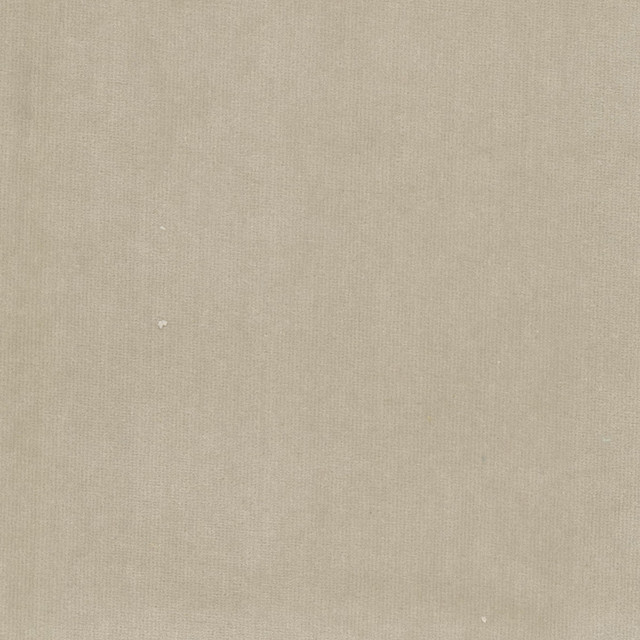 Spock 8 Birch by Stout Fabric Stout Fabric Spock 8 BirchFabric SOLID VELVETS PLUSH PALETTE 100%POL INDONESIA </p><p>Repeat: H: 0.000, V: 0.000 55 in - Fabric Carolina - Spock 8 Birch by Stout Fabric Stout Fabric Spock 8 BirchFabric SOLID VELVETS PLUSH PALETTE 100%POL INDONESIA </p><p>Repeat: H: 0.000, V: 0.000 55 in - Fabric Carolina -