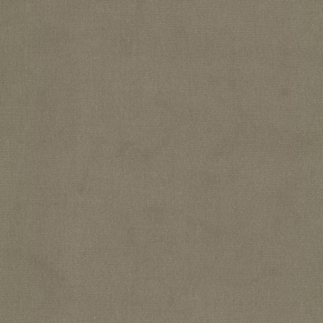Queen 25 Sandstone by Stout Fabric Stout Fabric Queen 25 SandstoneFabric SOLID VELVETS PLUSH PALETTE 95%POL 5%COT CHINA </p><p>Repeat: H: 0.000, V: 0.000 54 in - Fabric Carolina -