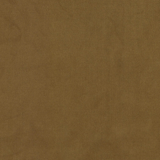 Queen 27 Dijon by Stout Fabric Stout Fabric Queen 27 DijonFabric SOLID VELVETS PLUSH PALETTE 95%POL 5%COT CHINA </p><p>Repeat: H: 0.000, V: 0.000 54 in - Fabric Carolina -