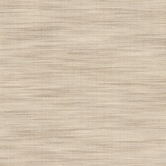 Adair 2 Raffia by Stout Fabric Stout Fabric Adair 2 RaffiaFabric COLOR MY WINDOW PEWTER/TAUPE 100%POL INDIA </p><p>Repeat: H: 0.000, V: 0.000 54.5 in - Fabric Carolina - Adair 2 Raffia by Stout Fabric Stout Fabric Adair 2 RaffiaFabric COLOR MY WINDOW PEWTER/TAUPE 100%POL INDIA </p><p>Repeat: H: 0.000, V: 0.000 54.5 in - Fabric Carolina -