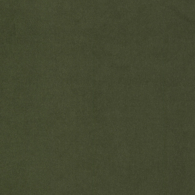 Queen 9 Chive by Stout Fabric Stout Fabric Queen 9 ChiveFabric SOLID VELVETS PLUSH PALETTE 95%POL 5%COT CHINA </p><p>Repeat: H: 0.000, V: 0.000 54 in - Fabric Carolina -