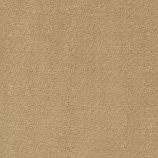 Luxor 6 Caramel by Stout Fabric Stout Fabric Luxor 6 CaramelFabric SOLID VELVETS PLUSH PALETTE 100%POL TURKEY </p><p>Repeat: H: 0.000, V: 0.000 55 in - Fabric Carolina - Luxor 6 Caramel by Stout Fabric Stout Fabric Luxor 6 CaramelFabric SOLID VELVETS PLUSH PALETTE 100%POL TURKEY </p><p>Repeat: H: 0.000, V: 0.000 55 in - Fabric Carolina -
