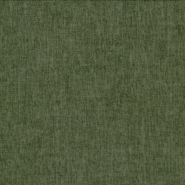 Beta 2 Moss by Crypton Fabric Crypton Fabric Beta 2 MossFabric LIVING IS EASY CRYPTON SHADES OF COLOR 100%POL CHINA </p><p>Repeat: H: 0.000, V: 0.000 54 in - Fabric Carolina -