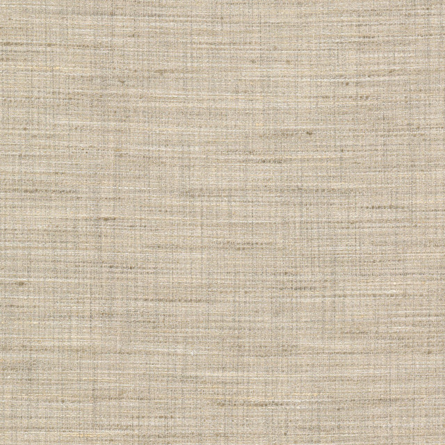 Stopper 1 Champagne by Stout Fabric Stout Fabric Stopper 1 ChampagneFabric RAINBOW LIBRARY SANDUNE/DESERT 100%POL INDIA </p><p>Repeat: H: 0.000, V: 0.000 55 in - Fabric Carolina -