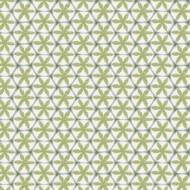 Ceiling 1 Apple by Stout Fabric Stout Fabric Ceiling 1 AppleFabric RAINBOW LIBRARY PISTACHIO/CHIVE 90%COT 10%LIN SPAIN </p><p>Repeat: H: 1.375, V: 2.500 55 in - Fabric Carolina -