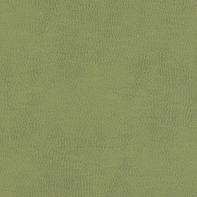 Top Grain-Nj # 857 Celery by Maxwell Designer Fabric Memos Only-Coated Fabrics FACE: 100% SILICONE
BACKING: 100% POLYESTER KOREA 54" - Swanky Fabrics -