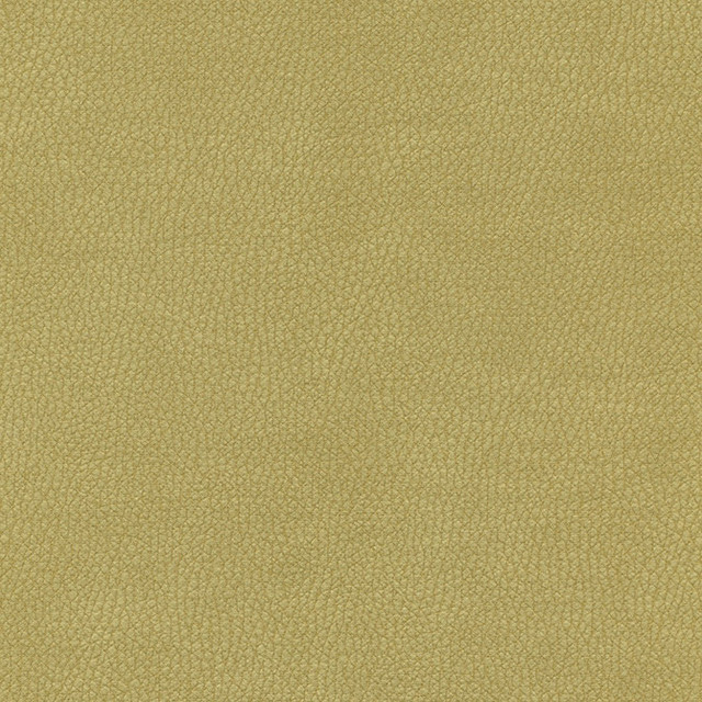 Top Grain-Nj 865 Calla by Maxwell Designer Fabric MEMOS ONLY-COATED FABRICS FACE: 100% SILICONE KOREA   54"  - Swanky Fabrics - Top Grain-Nj 865 Calla by Maxwell Designer Fabric MEMOS ONLY-COATED FABRICS FACE: 100% SILICONE KOREA   54"  - Swanky Fabrics -