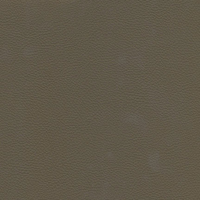Catalyst-Nj 526 Fungi by Maxwell Designer Fabric MEMOS ONLY-COATED FABRICS FACE: 100% SILICONE KOREA 54" - Swanky Fabrics - Catalyst-Nj 526 Fungi by Maxwell Designer Fabric MEMOS ONLY-COATED FABRICS FACE: 100% SILICONE KOREA 54" - Swanky Fabrics -