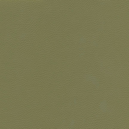Catalyst-Nj # 530 Sage by Maxwell Designer Fabric Memos Only-Coated Fabrics FACE: 100% SILICONE
BACKING: 100% POLYESTER KOREA 54" - Swanky Fabrics -