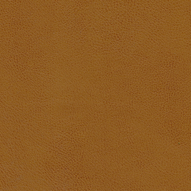 Leon-Nj 323 Peanut by Maxwell Designer Fabric MEMOS ONLY-COATED FABRICS FACE: 100% POLYURETHANE CHINA 54" - Swanky Fabrics - Leon-Nj 323 Peanut by Maxwell Designer Fabric MEMOS ONLY-COATED FABRICS FACE: 100% POLYURETHANE CHINA 54" - Swanky Fabrics -