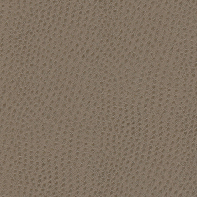 Quill-Nj 883 Musgum by Maxwell Designer Fabric MEMOS ONLY-COATED FABRICS FACE: 100% POLYURETHANE KOREA V-20.5" H-39" 54" - Swanky Fabrics - Quill-Nj 883 Musgum by Maxwell Designer Fabric MEMOS ONLY-COATED FABRICS FACE: 100% POLYURETHANE KOREA V-20.5" H-39" 54" - Swanky Fabrics -