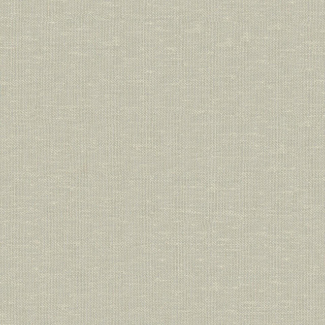 Sandro 113 Pear by Maxwell Designer Fabric WIDE WIDTH BASICS II 74% RECYCLED POLYESTER INDIA 121" - Swanky Fabrics - Sandro 113 Pear by Maxwell Designer Fabric WIDE WIDTH BASICS II 74% RECYCLED POLYESTER INDIA 121" - Swanky Fabrics -