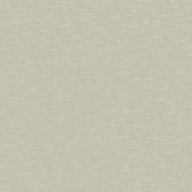Sandro # 113 Pear by Maxwell Designer Fabric Wide Width Basics Ii 74% RECYCLED POLYESTER
26% LINEN INDIA 121" - Swanky Fabrics -