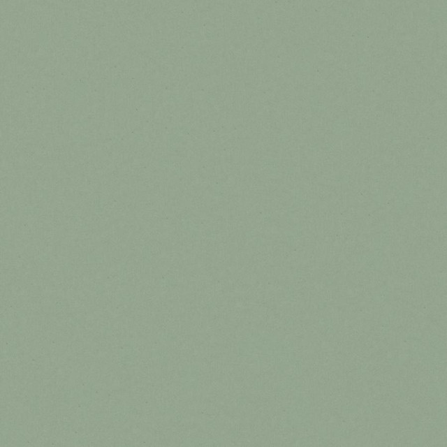 Zaitun # 516 Mineral by Maxwell Designer Fabric Pure & Simple Xvi 100% ORGANIC COTTON INDIA 55" - Swanky Fabrics -