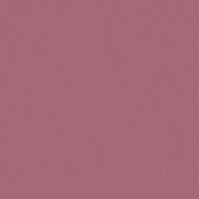 Zaitun # 531 Lotus by Maxwell Designer Fabric Pure & Simple Xvi 100% ORGANIC COTTON INDIA 55" - Swanky Fabrics -