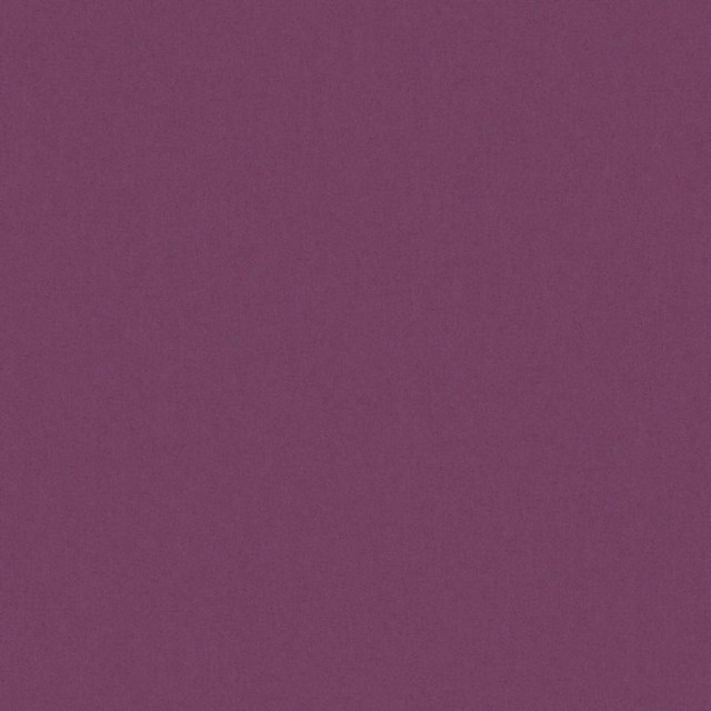 Zaitun # 534 Aubergine by Maxwell Designer Fabric Pure & Simple Xvi 100% ORGANIC COTTON INDIA 55" - Swanky Fabrics -