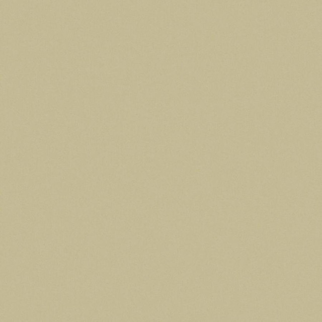 Zaitun # 544 Seagrass by Maxwell Designer Fabric Pure & Simple Xvi 100% ORGANIC COTTON INDIA 55" - Swanky Fabrics -