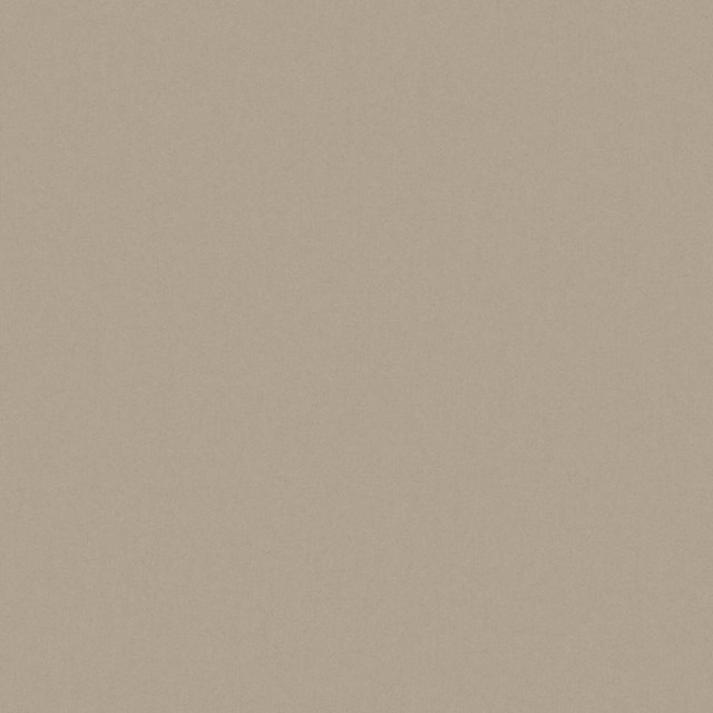 Zaitun # 550 Funghi by Maxwell Designer Fabric Pure & Simple Xvi 100% ORGANIC COTTON INDIA 55" - Swanky Fabrics -