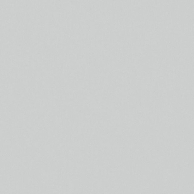 Zaitun # 557 Silver by Maxwell Designer Fabric Pure & Simple Xvi 100% ORGANIC COTTON INDIA 55" - Swanky Fabrics -